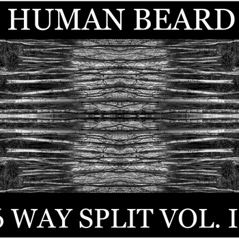 V/A - Human Beard - 6 Way Split Vol II CS - Click Image to Close