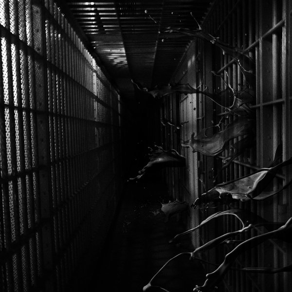 Regional Justice Center - Institution LP Regional Justice Center - Institution LP