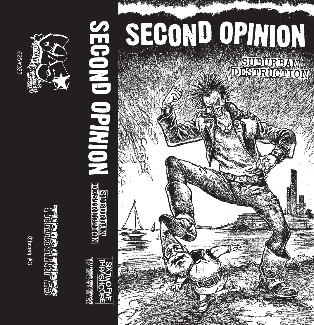 Second Opinion - Suburban Destruction CS