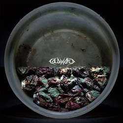 Hummingbird Of Death / Cold World - split LP - Click Image to Close