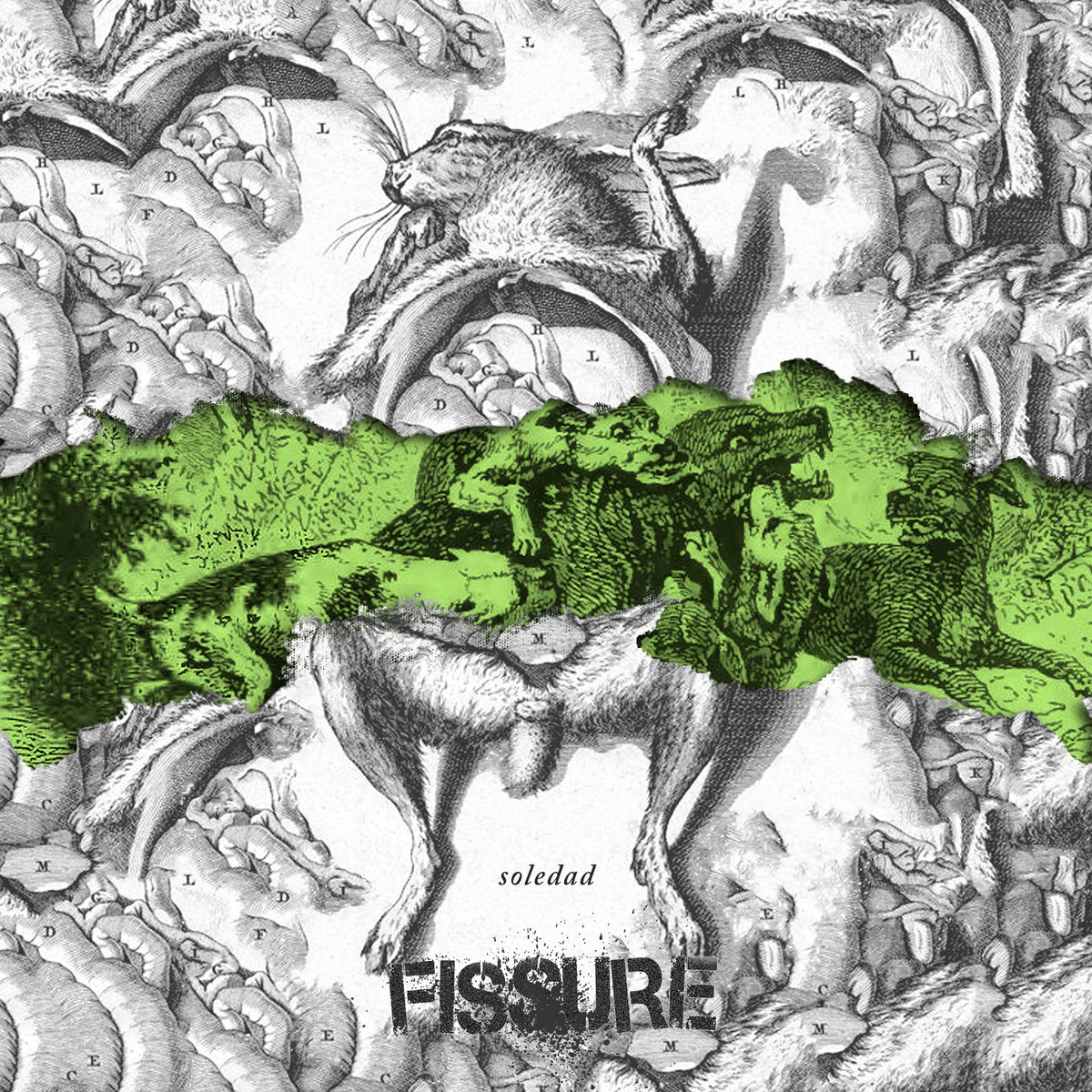 Fissure - Soledad 7" flexi Fissure - Soledad 7" flexi